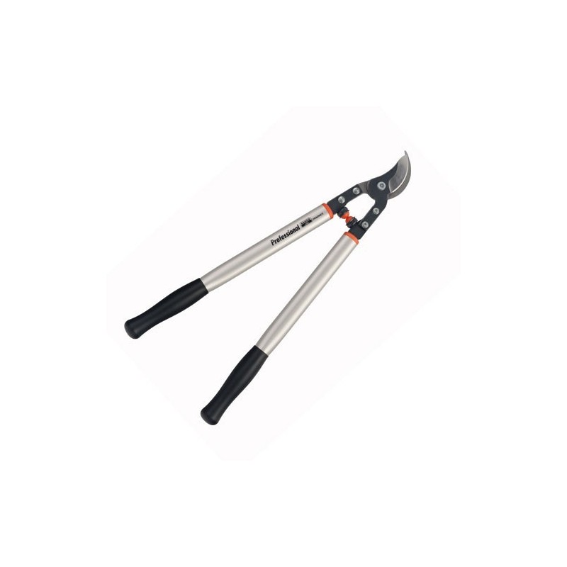 Ebrancheur Pradines P160 SL