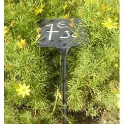Etiquettes à planter pour craie ou marqueur blanc