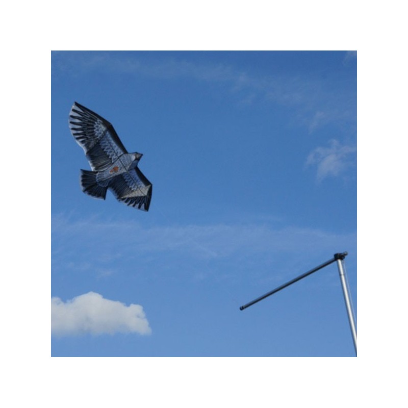 Cerf-volant effaroucheur rapace