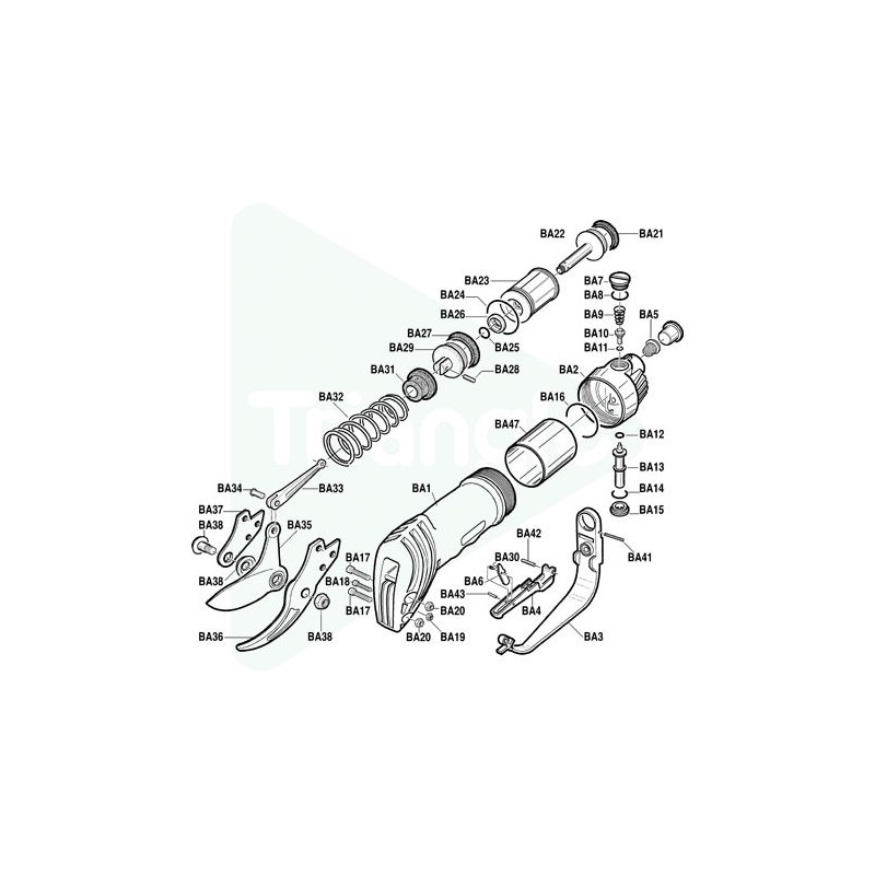 Ecrou 8x1 basso znt pour Baby Paterlini