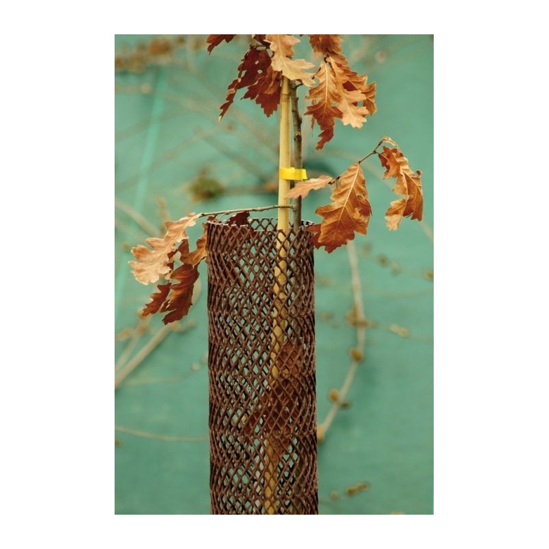 Lot de 6 protections fendues