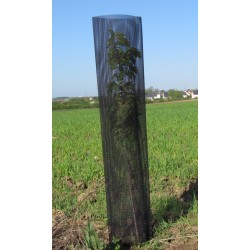 Gaine de protection agroforesterie