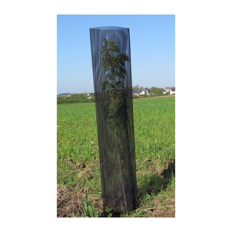 Gaine de protection agroforesterie