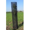 Gaine de protection agroforesterie