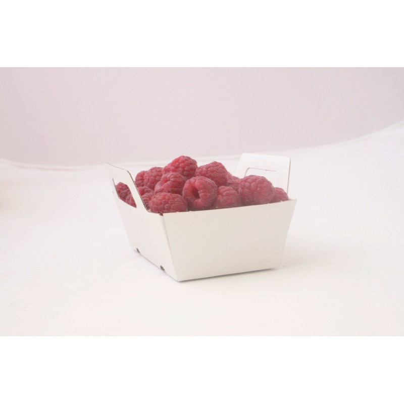 Barquettes carton avec anses