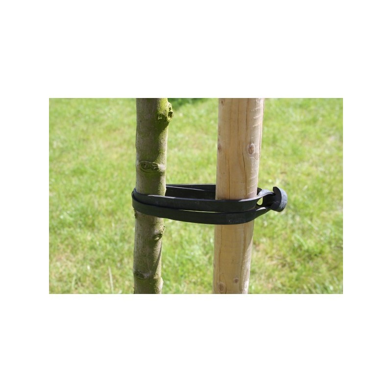Top Tree Fix