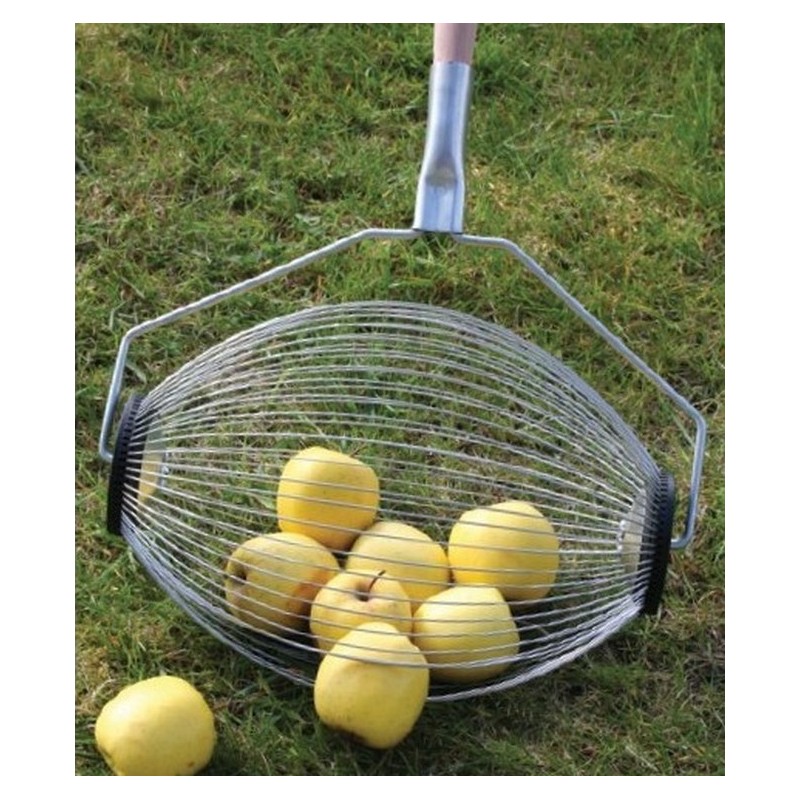 Ramasse pommes et poires