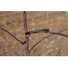 Ecarteur de branche Astfix