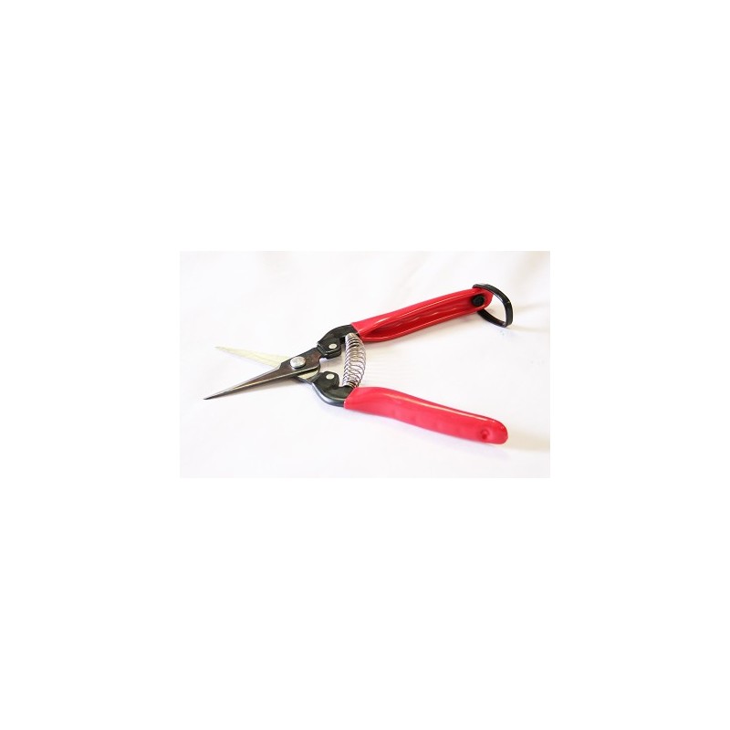 Epinette Ars E300L lames longues et pointues