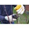 Gants pour sécateur