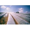 Filet anti-insectes Climabio*