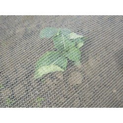 Filet Anti-Insectes  Climatex (croissance – protection)