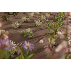 Paillage biodégradable et compostable -PLA