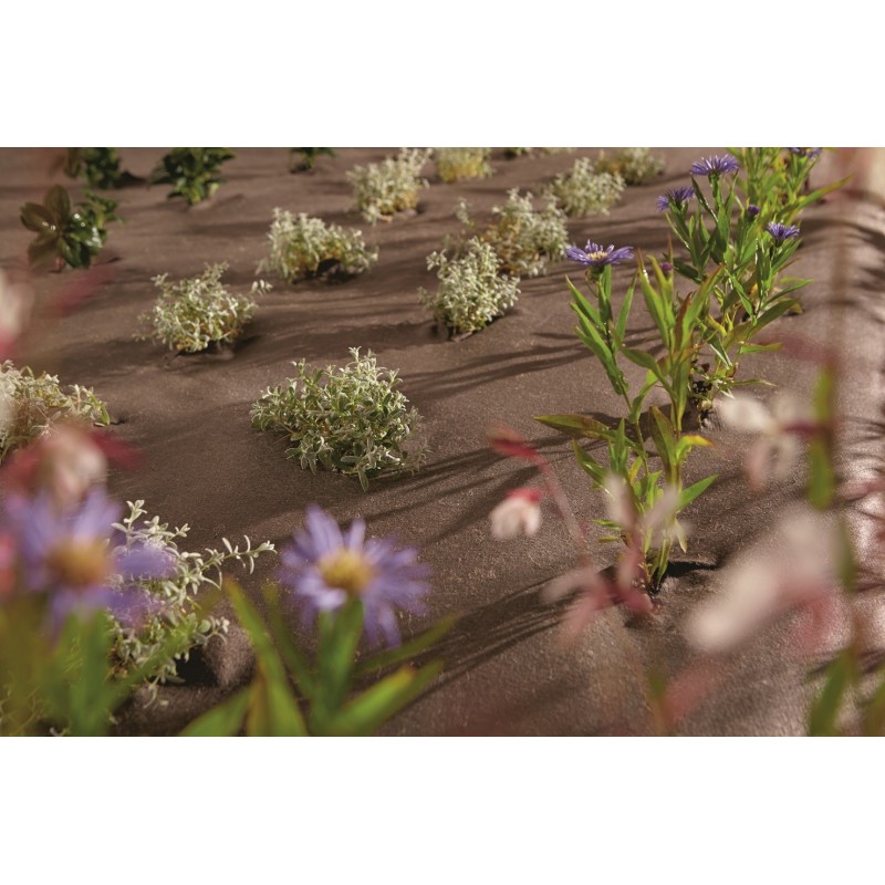 Paillage biodégradable et compostable -PLA