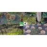 Paillage biodégradable et compostable -PLA