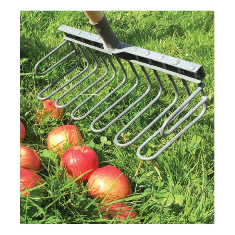 Rateau à pommes Triangle