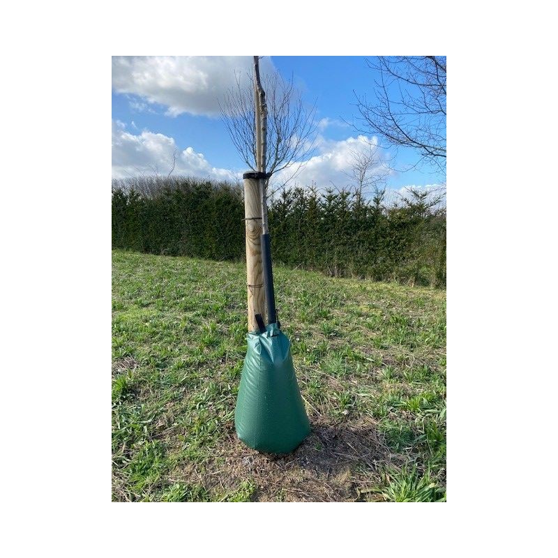 Distributeur d'eau