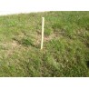 25 Piquets d'implantation chantier en 30x30mm