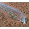 Lot de 50 arceaux PVC vert 3m pour filet*