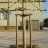 Natte de bambou fendus 2x5m*