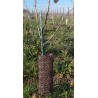 Lot de 6 protections fendues