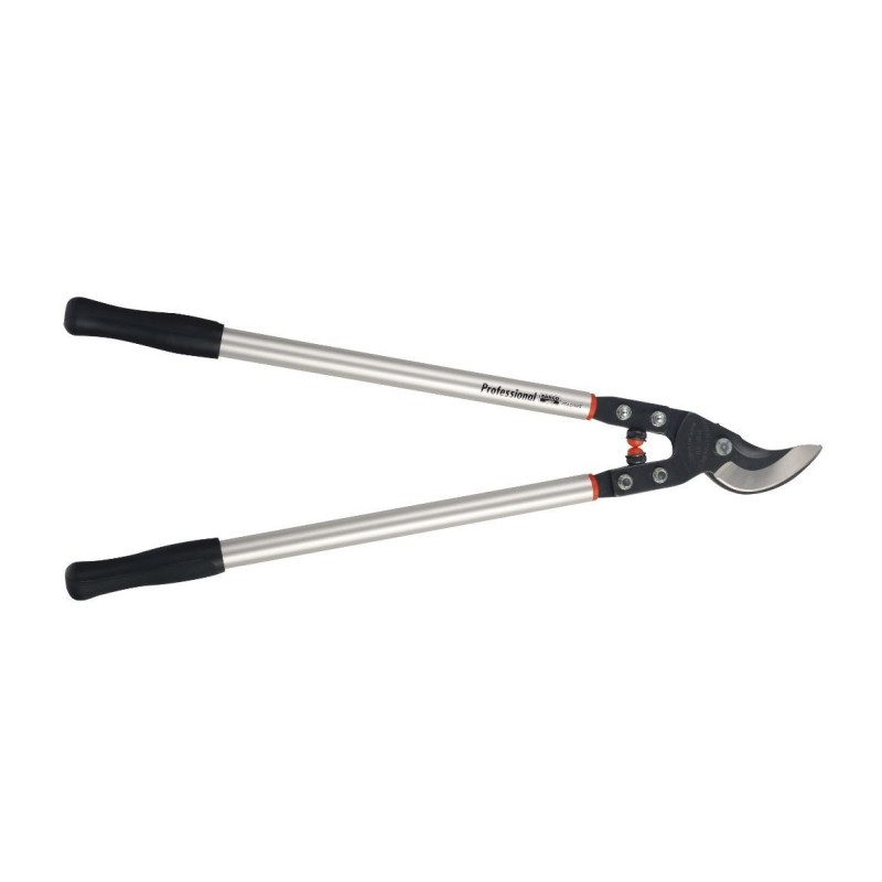 Ebrancheur P19-80