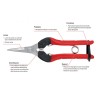 Epinette Felco
