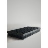 Winstrip  - lot de 5 plaques de semis