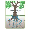 Kit d'arrosage des arbres Geka plus