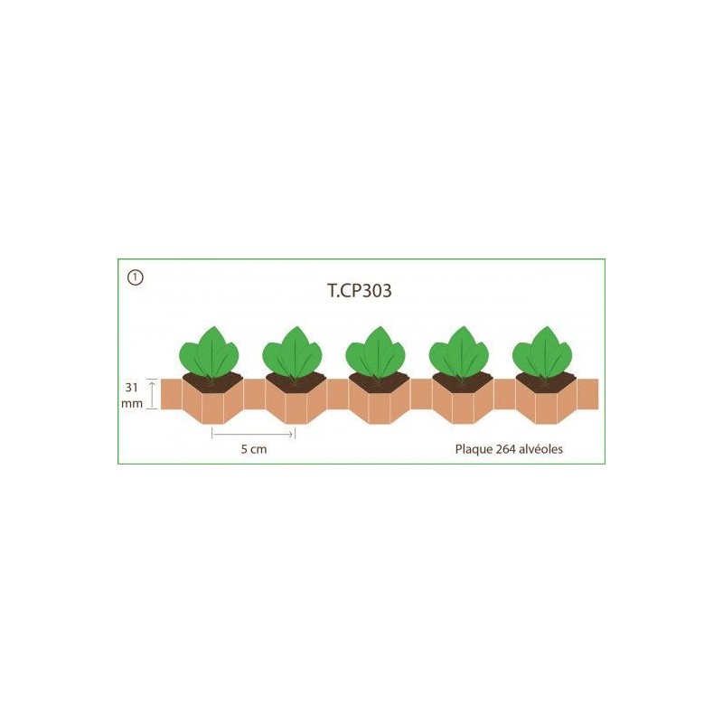 Chapelet pour Paperpot