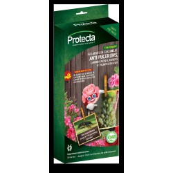 Carte Prépayée anti pucerons rosier - 50 larves de coccinelle