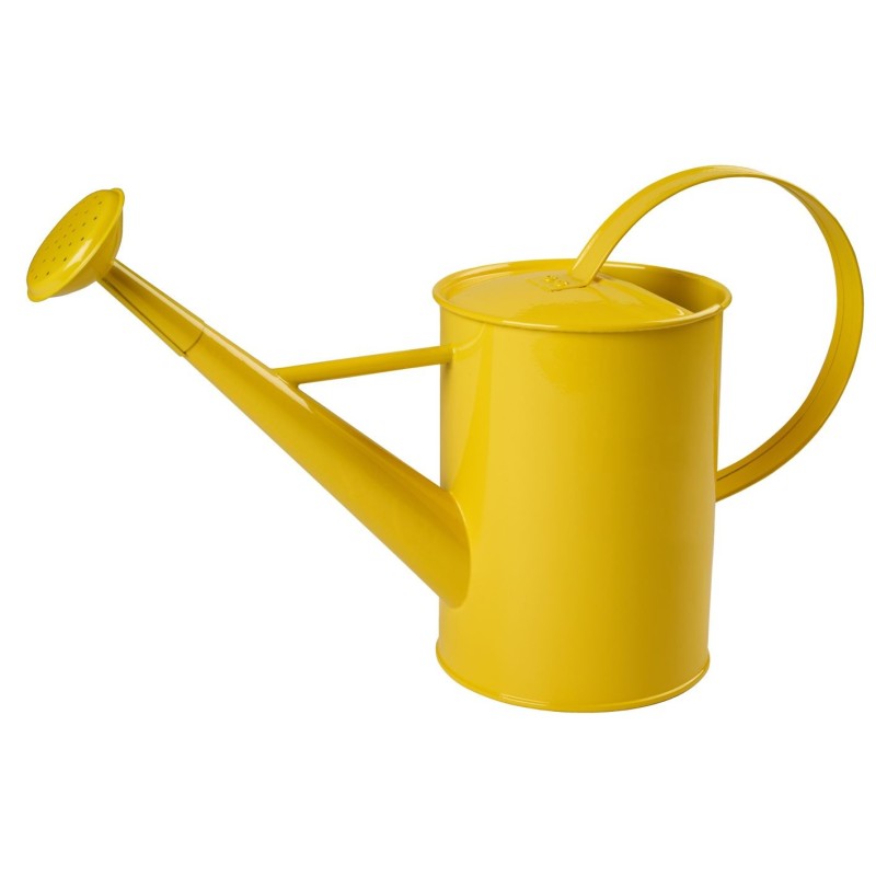 Arrosoir métallique enfant