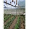 Ficelle de Tuteurage Compostable