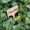 Etiquettes à planter en bambou