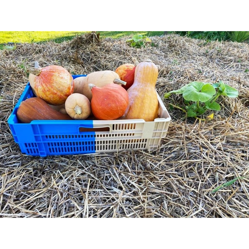 Lot  de 4 caisses de récolte
