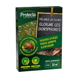 Mélange de fleurs - éloigne les doryphores