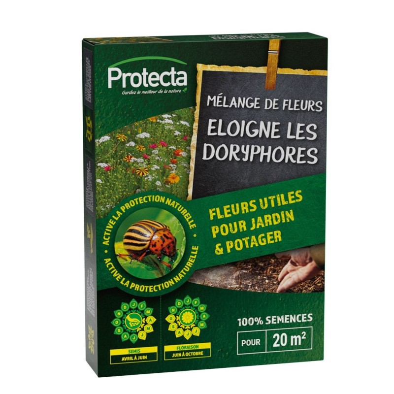 Mélange de fleurs - éloigne les doryphores