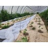Toile de paillage 100% chanvre