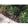 Kit goutte à goutte 50m pour jardin GEKA