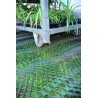Grille stabilisatrice de sol***