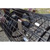 Rouleau préparateur perforateur