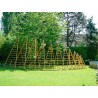 Echelle en Bois*