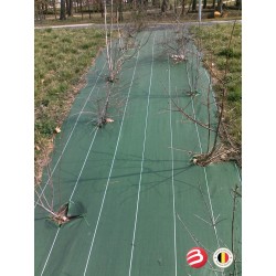 Toile de paillage verte 86g/m²