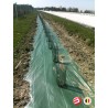 Toile de paillage verte 100g/m²