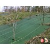 Toile de paillage verte 100g/m²
