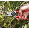Sécateur Felco 2