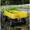 Chariot pour la récolte *