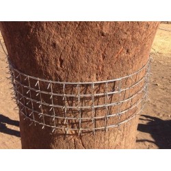 Lot de 10 protecteurs cactus