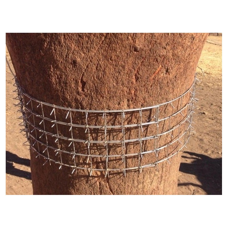 Lot de 10 protecteurs cactus