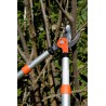 Ebrancheur télescopique PG-19-F